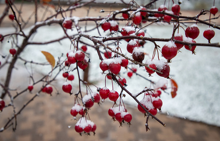 4 ноября: какой сегодня праздник, этот день в истории России и Тулы