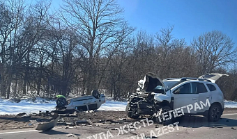 Водитель автомобиля Renault Symbol погиб в ДТП в Тепло-Огаревском районе