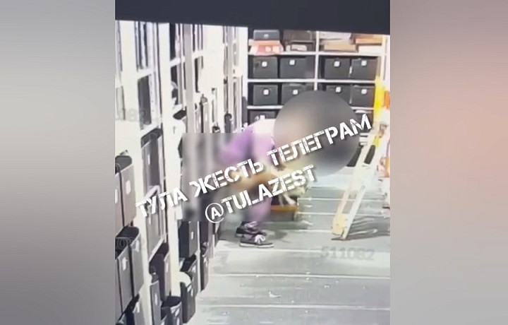 «Сходил по-большому прямо в товары»: в Алексине экс-работник Wildberries устроил «сюрприз» покупателям