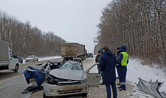 Две фуры и легковушка устроили смертельное ДТП на трассе М-2 в Тульской области
