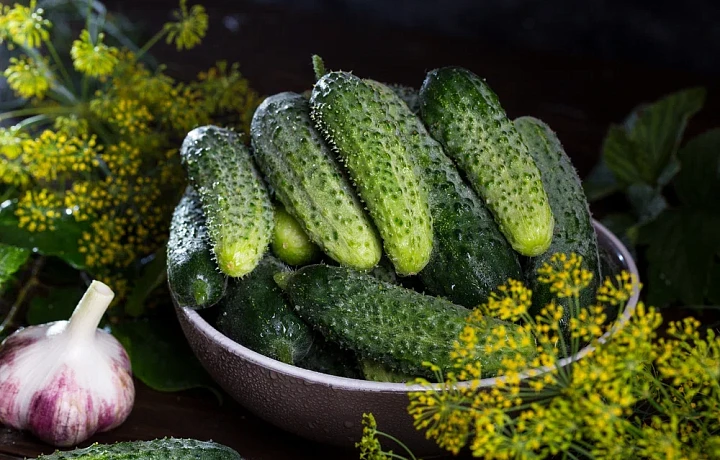 Известный тульский садовод рассказала, что делать, чтобы огурцы не горчили