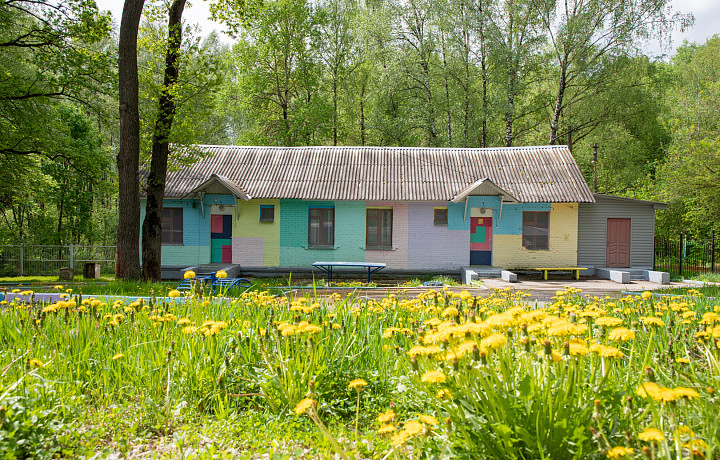Больше 90 тысяч детей отдохнут в лагерях и санаториях Тульской области, Крыма и Краснодарского края