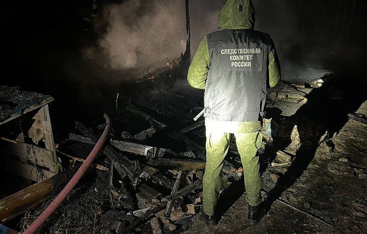 Следователи начали проверку по факту смерти ребенка на пожаре в Алексине