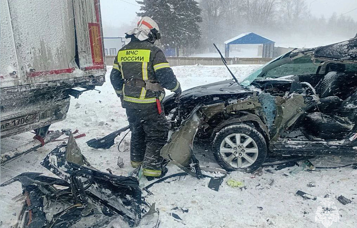 Опубликованы фото с места ДТП на трассе «Дон» в Тульской области