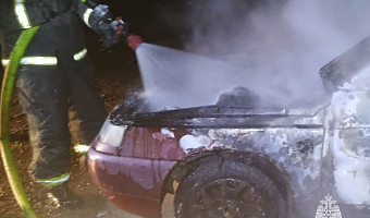 Огнеборцы потушили легковушку на трассе М-2 в Тульской области