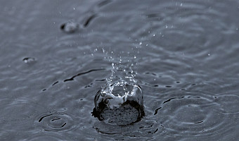 В Тульской области похолодает до +7 градусов и пройдет дождь 31 октября