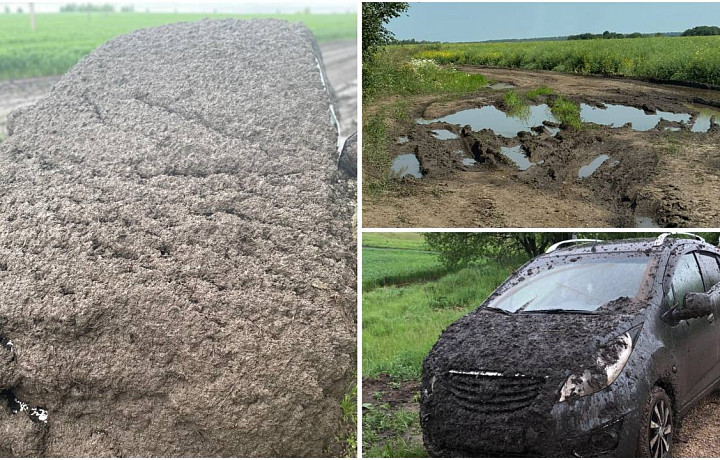 «Мы не просим невозможного, лишь элементарного – возможности доехать до дома»: дорога к деревне под Веневом превратилась в месиво, но власти говорят, что денег нет