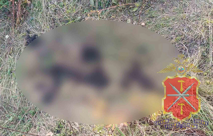 Забивали прямо на пастбище и продавали: двое жителей Тульской области сознались в краже скота