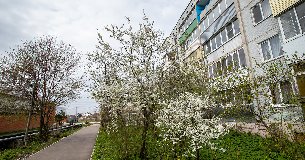 Апрель, аптека, Московская ул., 14, Новомосковск - Яндекс Карты