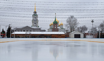 На обслуживание катков в Туле потратят три миллиона рублей