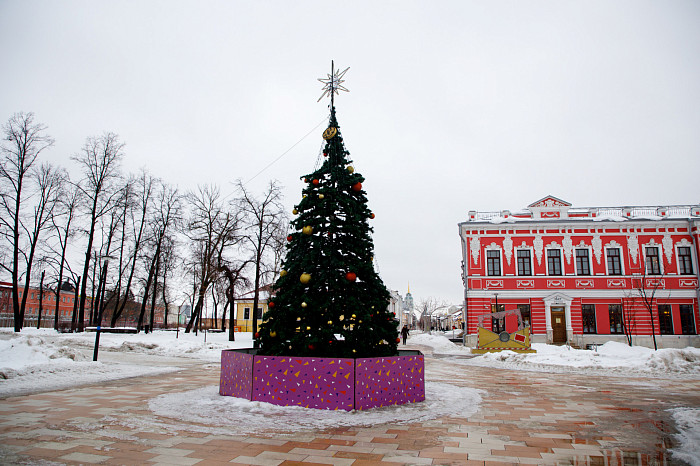 Где сделать красивые новогодние фотографии в Туле
