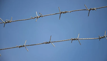 Фигурантов дела тульской фирмы «Ё-хаус», обвиняемых в мошенничестве, выпустили из СИЗО