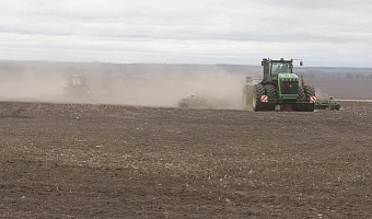 За год урожайность подсолнечника на зерно выросла на 11,4% в Тульской области