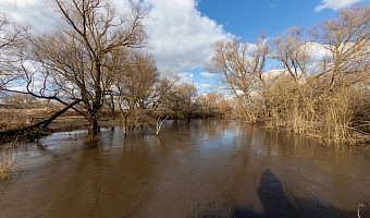 В Тульской области ожидается подъем Оки выше пяти метров