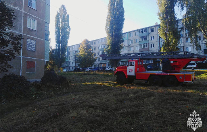 За сутки огнеборцы потушили пять пожаров в Тульской области