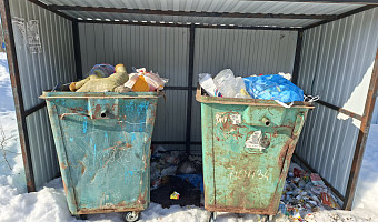 Жители деревни под Веневом пожаловались, что мусор у них не забирают уже месяц