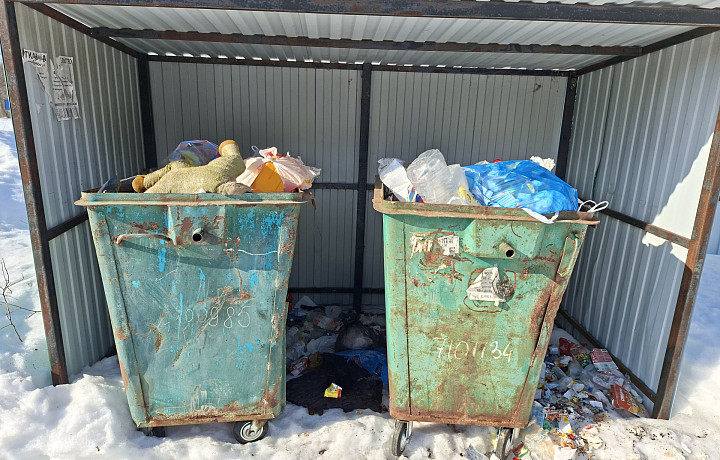 Жители деревни под Веневом пожаловались, что мусор у них не забирают уже месяц