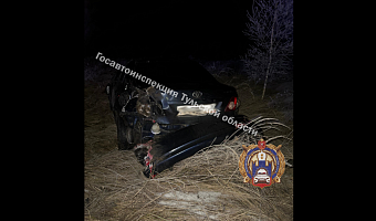 В Алексине автоледи на Toyota не справилась с управлением и вылетела в кювет