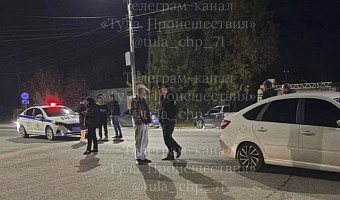Туляки сообщили о смертельном ДТП с пешеходом в поселке Барсуки