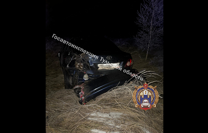 В Алексине автоледи на Toyota не справилась с управлением и вылетела в кювет