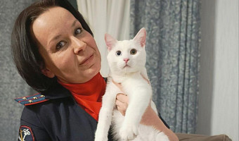 Тульские правоохранители поздравили жителей и их пушистых друзей с Днём кошек