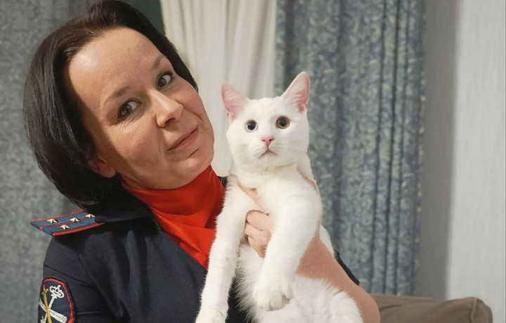 Тульские правоохранители поздравили жителей и их пушистых друзей с Днём кошек