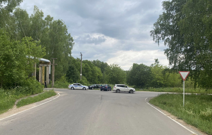 Двое детей попали в больницу после ДТП с участием Renault и Hyundai в Алексине