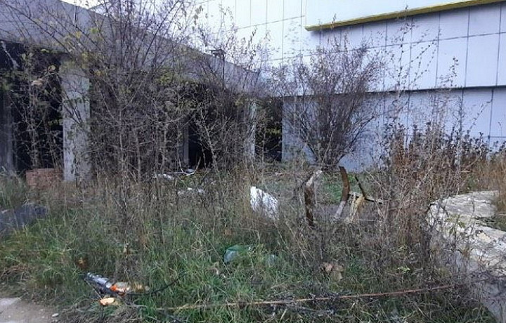 Прокуратура в Туле начала проверку после публикаций о свалке рядом с заброшенным ТЦ