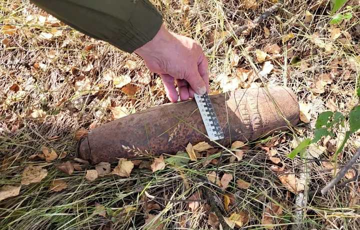 В Тульской области обнаружили и ликвидировали два боеприпаса времен ВОВ