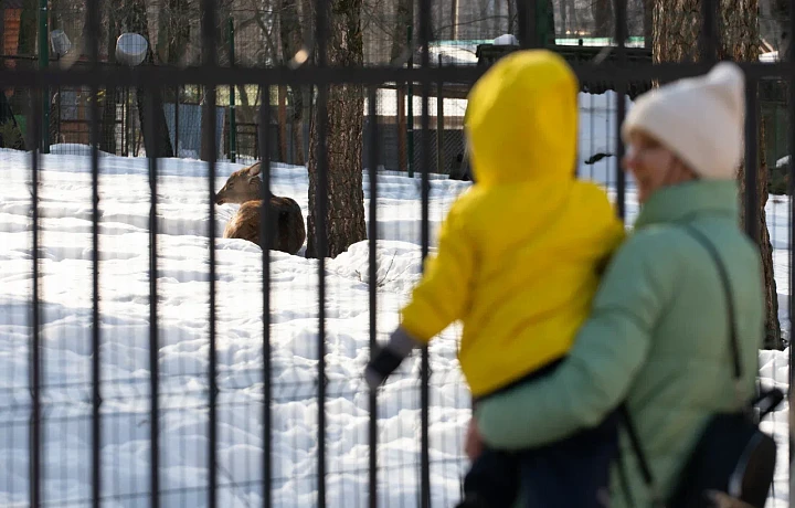 День матери в России в 2023: дата, история, традиции, символ праздника, что подарить