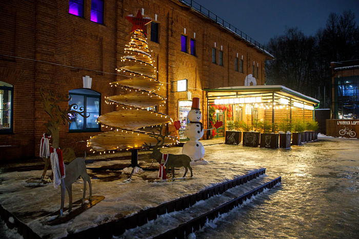 Где сделать красивые новогодние фотографии в Туле