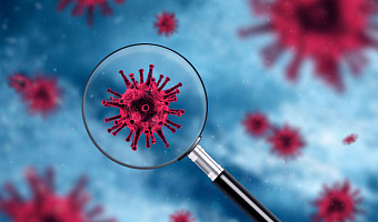В России не зафиксировали случаев заболевания вариантом коронавируса «Пирола»