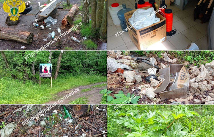 В Туле прокуратура нашла ряд нарушений на лесных участках в Ленинском районе