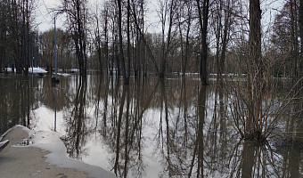 В Туле начало затапливать Баташевский сад из-за паводка