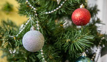 Тулякам рассказали, может ли искусственная ёлка навредить здоровью