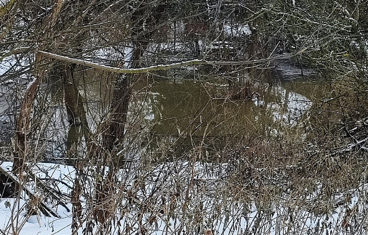 «Люди ждут новогодних праздников, а мы канализационную технику»: под Плавском дом четыре месяца утопает в нечистотах