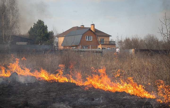 Загорятся ли в Тульской области поля после заморозков и снега — отвечают в МЧС