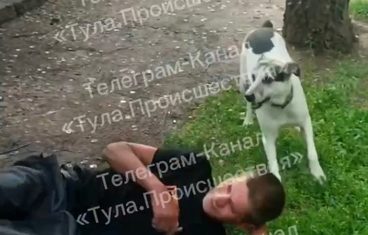 В Щекине мужчина прямо на улице занялся сексом с женщиной в отключке