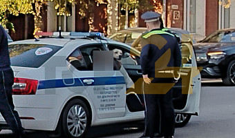 «Я уверовал в Бога»: виновник массового ДТП в Туле был в неадекватном состоянии