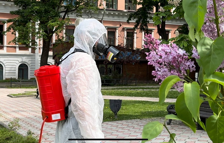 Общественные пространства Тулы обрабатывают от клещей