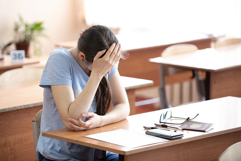 Экономист Сергеева рассказала о преимуществах высшего образования | ТСН24