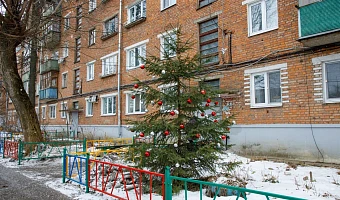 Штраф до пяти тысяч рублей: как правильно утилизировать елки?