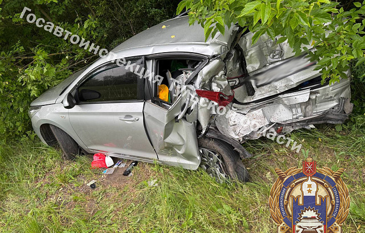 Два человека пострадали в ДТП на трассе М-2 «Крым» в Щекинском районе