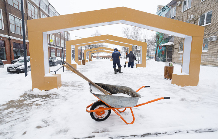 Губернатор предложил жителям Тульской области выходить семьями на уборку снега