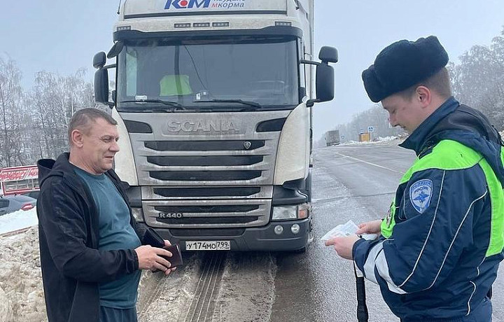 Тульская Госавтоинспекция подвела итоги профилактического мероприятия "Грузовик"