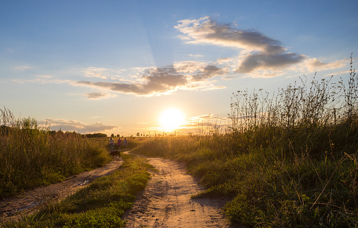 Лето будет самым жарким за 150 лет? Синоптики опровергли информацию о 40-градусной жаре этим летом в Тульской области