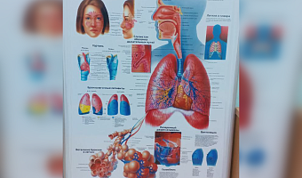 Ещё одна причина бросить курить: что такое ХОБЛ и как эта болезнь может привести к смерти, если вовремя не взять себя в руки