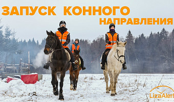 Тульский отряд «ЛизаАлерт» запустит конное направление для поиска пропавших людей