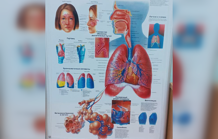 Ещё одна причина бросить курить: что такое ХОБЛ и как эта болезнь может привести к смерти, если вовремя не взять себя в руки