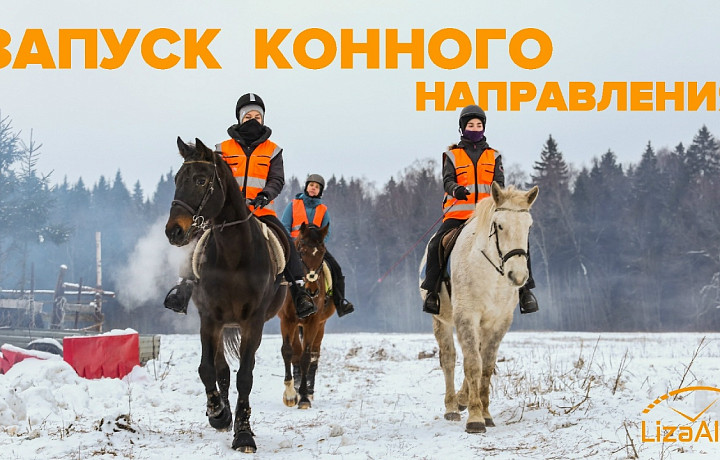 Тульский отряд «ЛизаАлерт» запустит конное направление для поиска пропавших людей